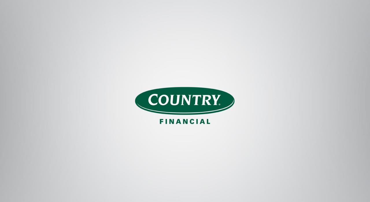 Insurance countrywide auto company